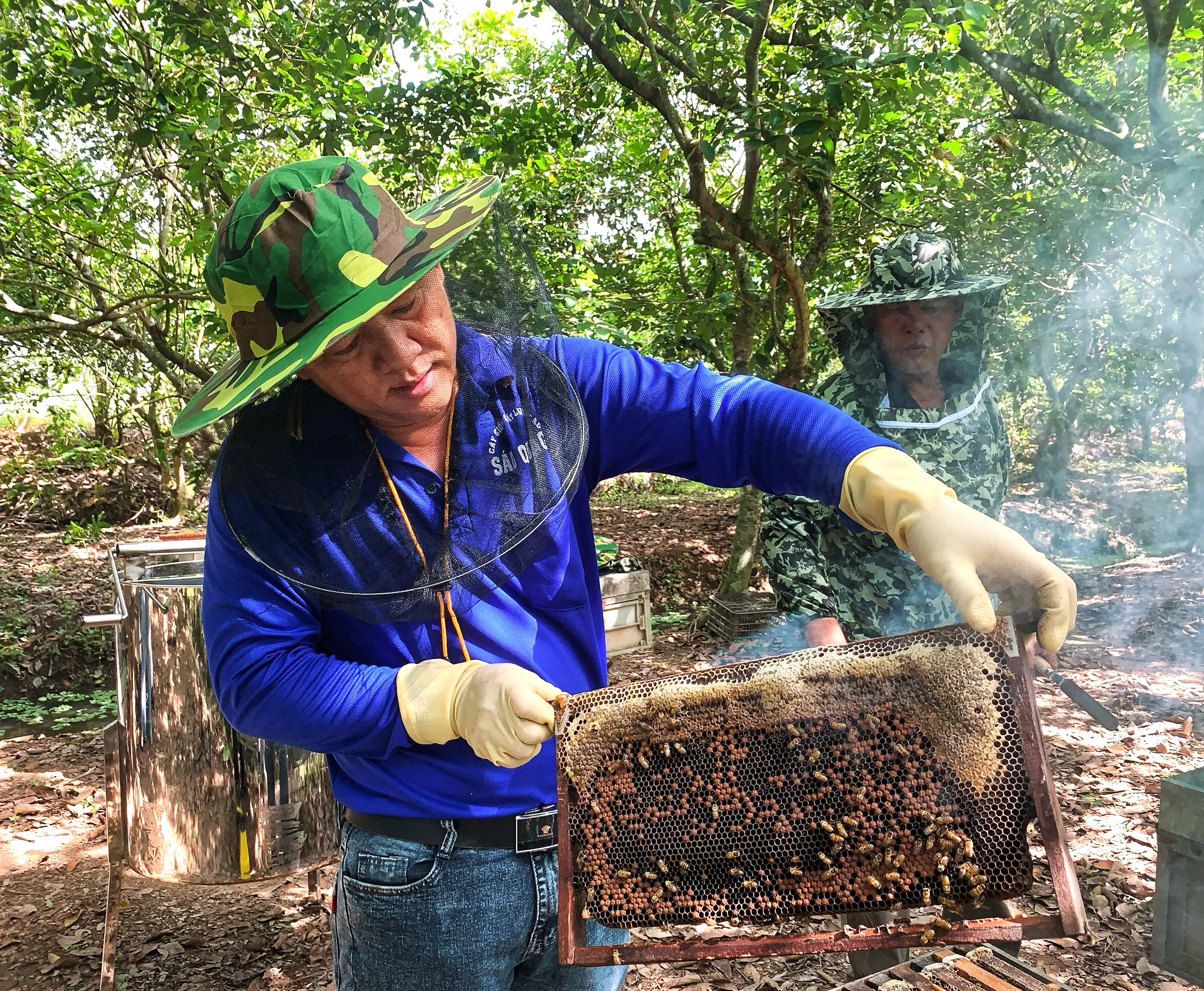Thu hoạch mật ong vùng cao