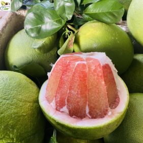 Bưởi da xanh Bến Tre
