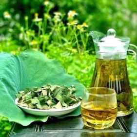 Trà sen Tây Hồ